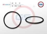 GS SR02857A