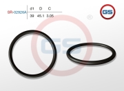 GS SR02926A